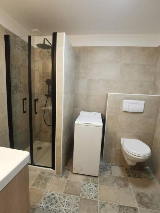 Appartement De 30M2 Pour 2 Personnes Venaco Венако Екстер'єр фото